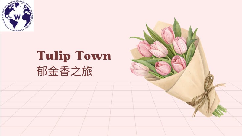 Tulip Town 郁金香之旅